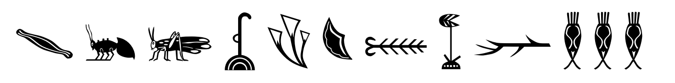 Hieroglyph E Regular
